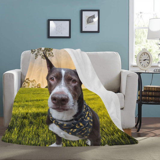 Custom Image Ultra-Soft Micro Fleece Blanket